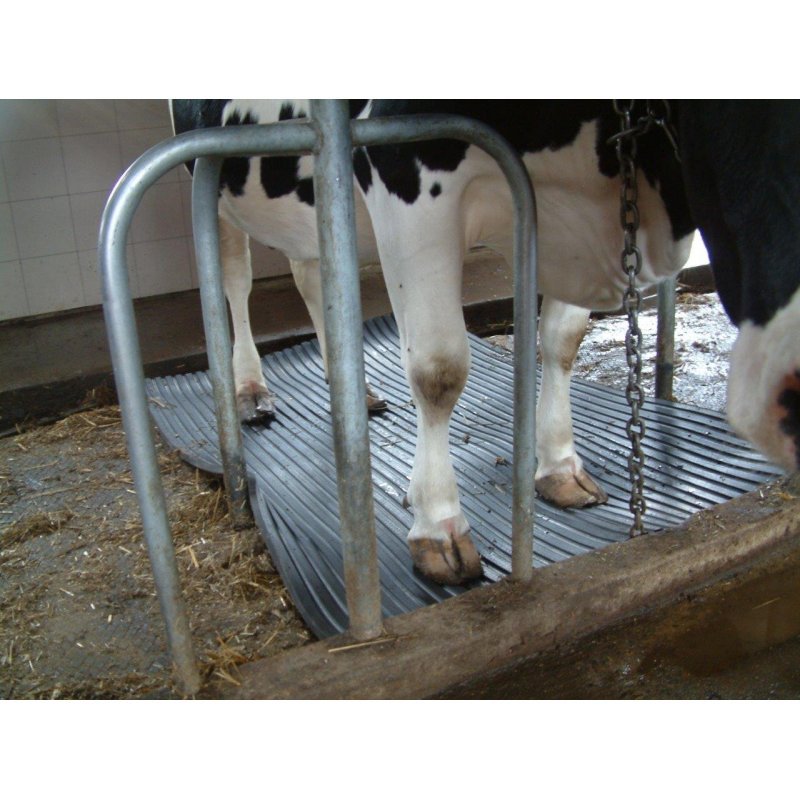 Einstreumatte für Tiere Kuh pferd Gummizucht 120x180 cm