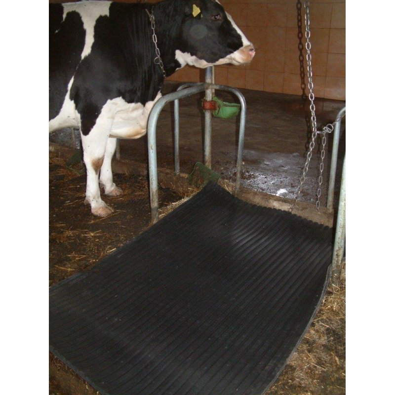 Rubber animal bedding mat for breeding animals