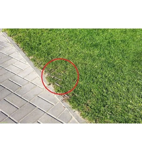 Trawa do geo kratek Grass 0,9 kg 35 mkw