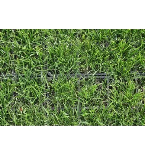 Trawa do geo kratek Grass 0,9 kg 35 mkw