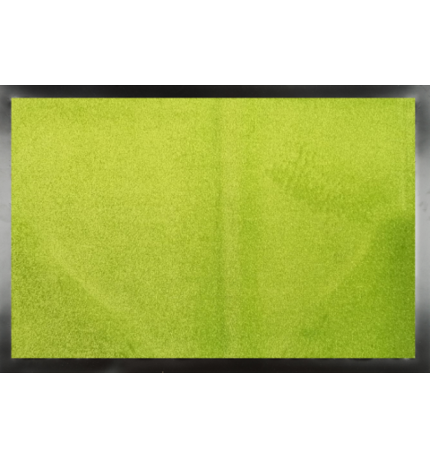 Kliniek deurmat entreemat 90x150 cm groen kalk